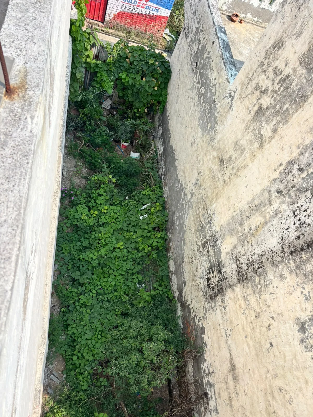 Plot / Land in Patel Nagar, Bahadurgarh